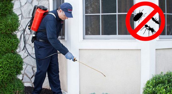 Reşadiye Gümüşkurt İlaçlama böcek ilaçlama ve haşere kontrolü — ilaclama-tr.com